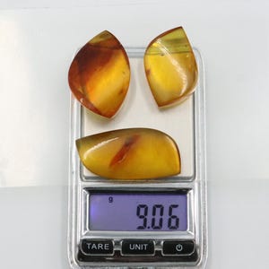 Baltic Amber Stones | Genuine Raw Amber Pieces | Can be used as DECORATION or for Amber Jewelry making | Natural Baltic Amber Gemstones
