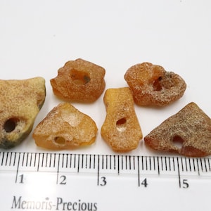 Baltic Amber 8 Stones with NATURAL holes | Naturally Formed over Millions of Years |  Genuine  Raw Amber Gemstones  | Jewelry making
