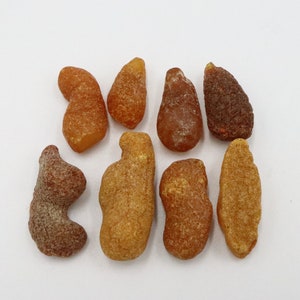 Baltic Amber Drops 8 Stones | Naturally Formed over Millions of Years |  Genuine  Raw Amber Gemstones  | Can be Used for Jewelry making