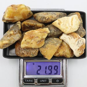 Baltic Amber Stones | Genuine Raw Amber Pieces | Can be used as DECORATION or for Amber Jewelry making | Natural Baltic Amber Gemstones
