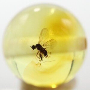 Puede incluir: Un insecto preservado encerrado en una esfera transparente de color ámbar. El insecto es de color marrón oscuro con delicadas alas, suspendido dentro de la resina translúcida. La esfera es de un tono amarillo cálido, creando una estética vintage.