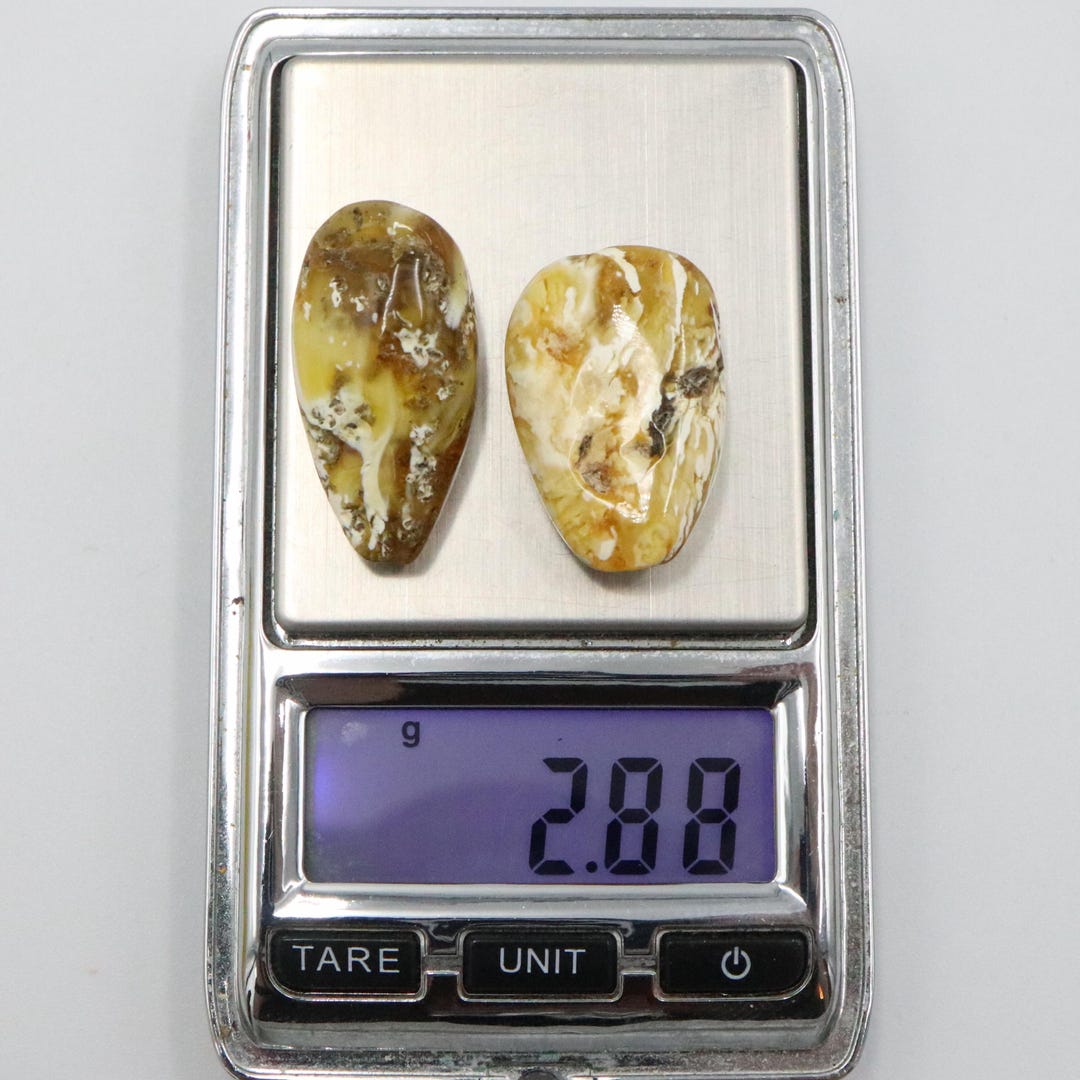 Baltic Amber Stones With Very Rare Color | Genuine Raw Amber Pieces ...