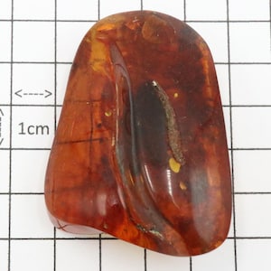 Baltic Amber Stones | Genuine Raw Amber Pieces | Can be used as DECORATION or for Amber Jewelry making | Natural Baltic Amber Gemstones