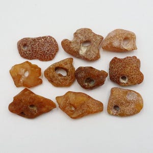 Baltic Amber 10 Stones with NATURAL holes | Naturally Formed over Millions of Years |  Genuine  Raw Amber Gemstones  | Jewelry making