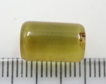 Cylindrical Amber with a Spider Insect NOT DRILLED trapped for Million Years | Fossil Inclusion in Baltic Amber | Certified Baltic Amber