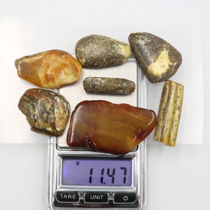 Baltic Amber Stones | Genuine Raw Amber Pieces | Can be used as DECORATION or for Amber Jewelry making | Natural Baltic Amber Gemstones