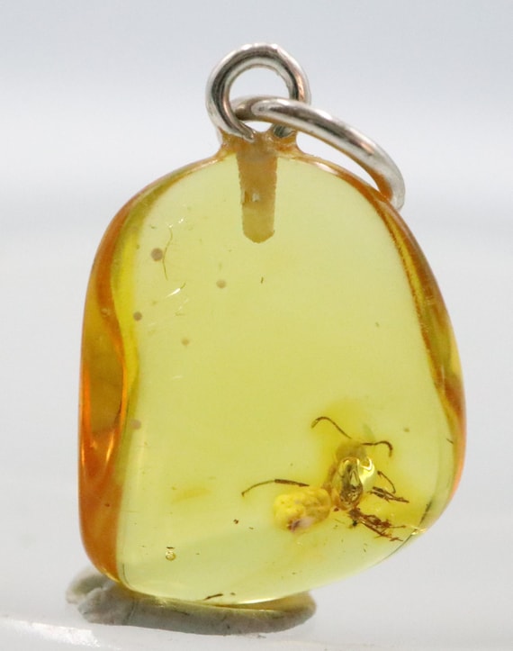 Amber Pendant with Insect, 925 Sterling Silver Baltic Amber Pendant  Necklace with Million Years Fossil Natural Amber Jewelry