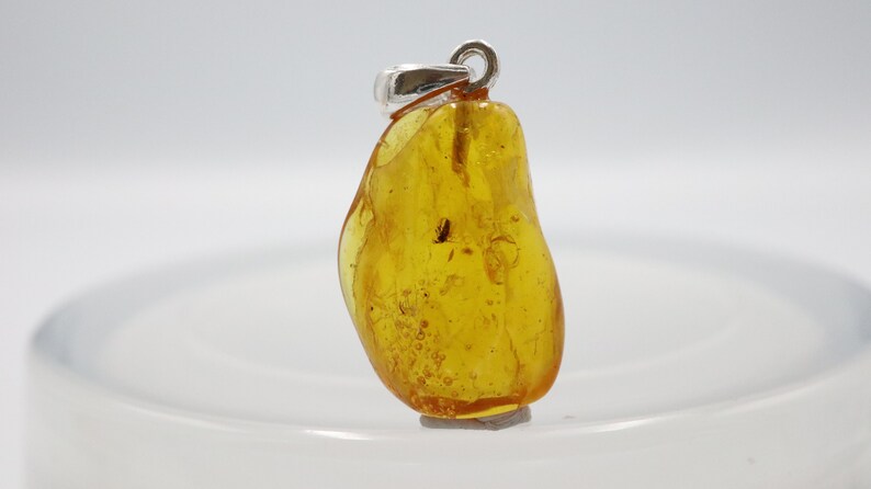 925 Sterling Silver Baltic Amber Pendant Necklace with Fossil trapped for Million Years Natural Amber Jewelry Amber Pendant with Insect