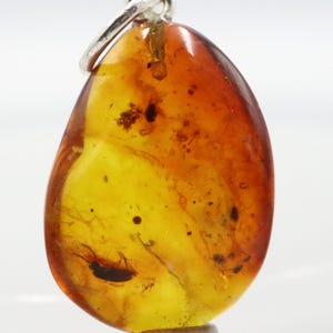 Amber Pendant with 2 Insects, 925 Sterling Silver | Baltic Amber Pendant with Fossil trapped for Million Years | Natural Amber Jewelry
