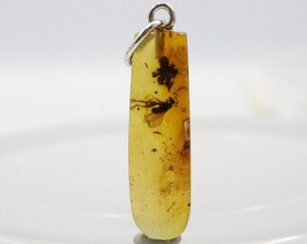 昆虫付き琥珀ペンダント、925 スターリング シルバー | 数百万年の化石