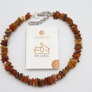 Hunde bernstein halsband - Etsy.de