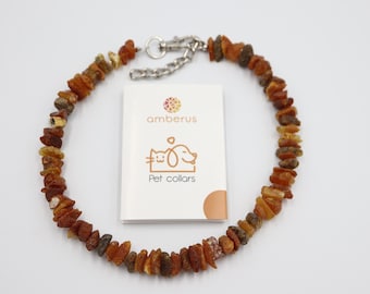 Collar de ámbar para perros y gatos TODOS LOS TAMAÑOS / Collar de ámbar antigarrapatas y pulgas / Hecho de ámbar crudo natural