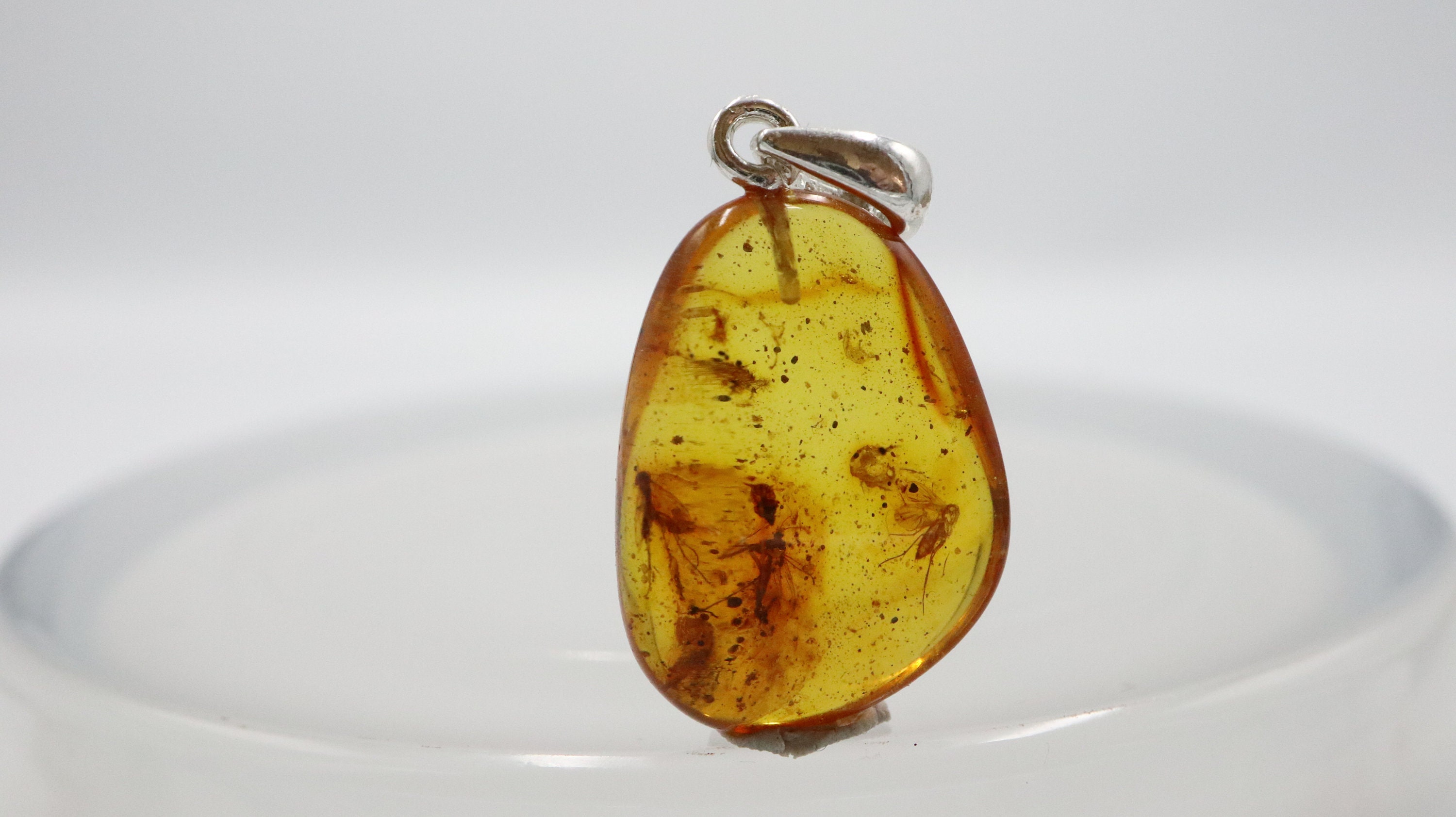 Pendentif ambre miel véritable avec 1 inclusion d'insecte | bijouxdambre