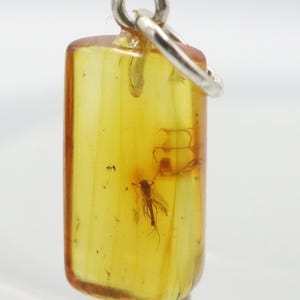 Amber Pendant with 2 Insects, 925 Sterling Silver | Baltic Amber Pendant with Fossil trapped for Million Years | Natural Amber Jewelry