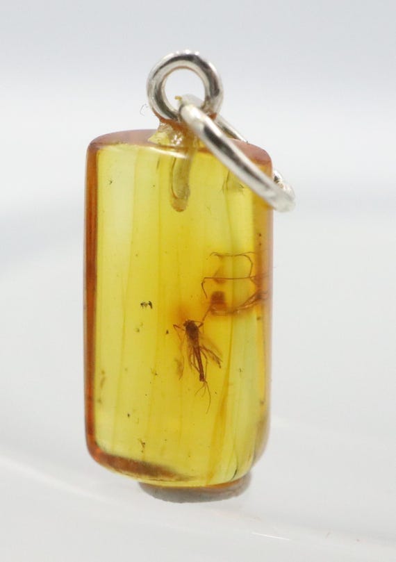 Buy Amber Pendant With Insects, 925 Sterling Silver Baltic