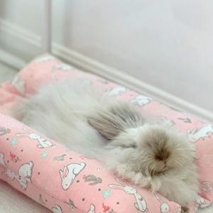 May include: A fluffy white rabbit sleeping on a pink pillow with a bunny print. The pillow is filled with soft stuffing and has a comfortable shape for the rabbit to rest on.