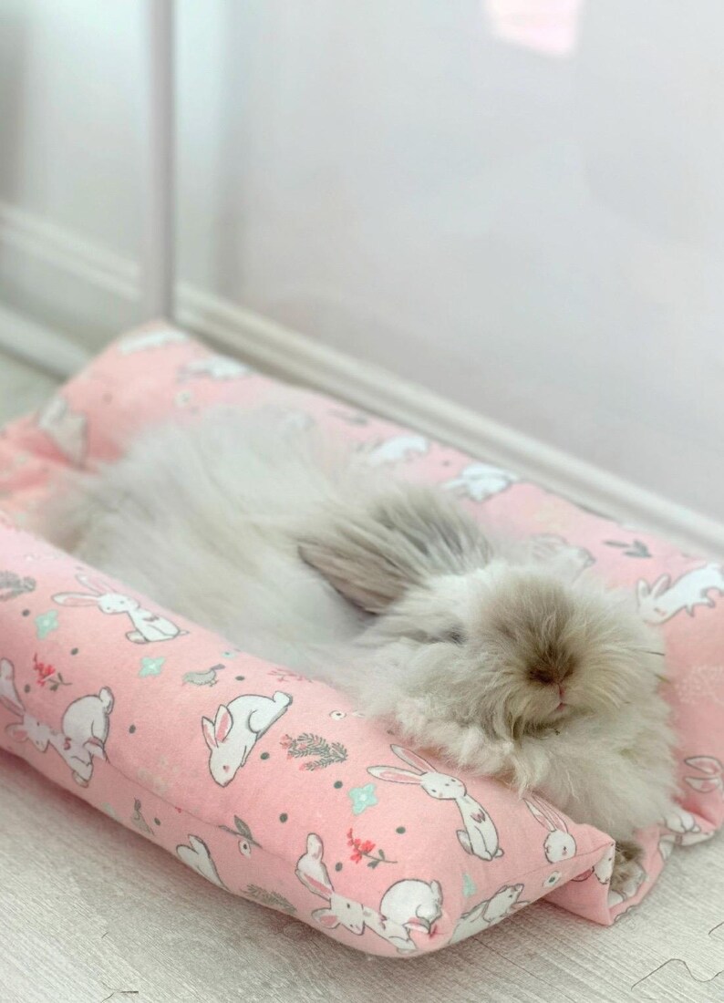 May include: A fluffy white rabbit sleeping on a pink pillow with a bunny print. The pillow is filled with soft stuffing and has a comfortable shape for the rabbit to rest on.