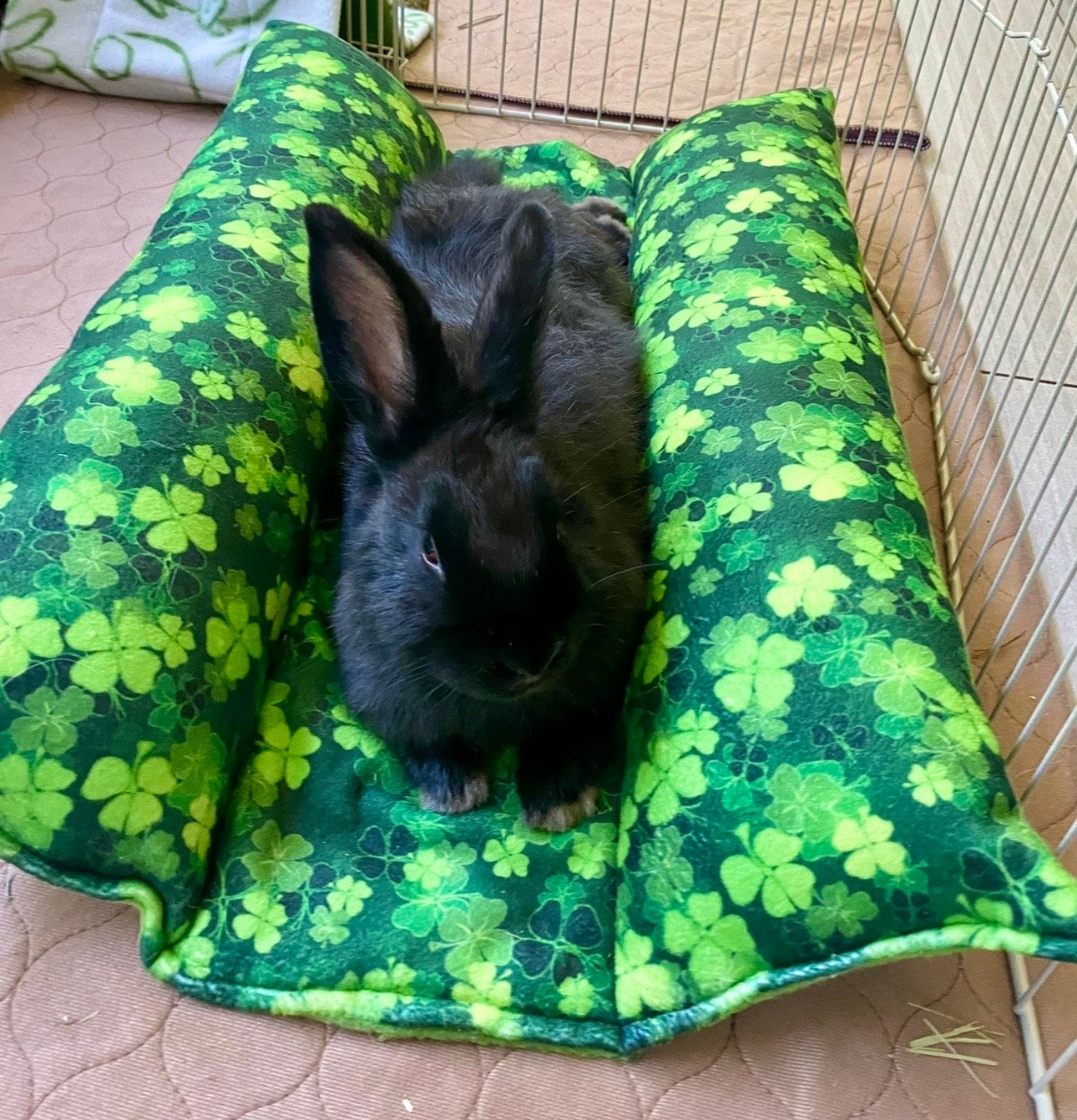 Bunny Bed / Bunny Snuggle Bumper / Bunny Flop Bed / Bunny Hugger ...