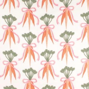 Easter Carrot Guinea pig lap pillow / Guinea pig bedding / Guinea pig Pillow / Guinea pig Fleece / Guinea pig Easter Carrot Bedding