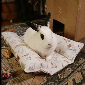 May include: A white and black rabbit with black eyes sits on a white and brown patterned pillow with a design of rabbits and carrots. The pillow is on a patterned rug.