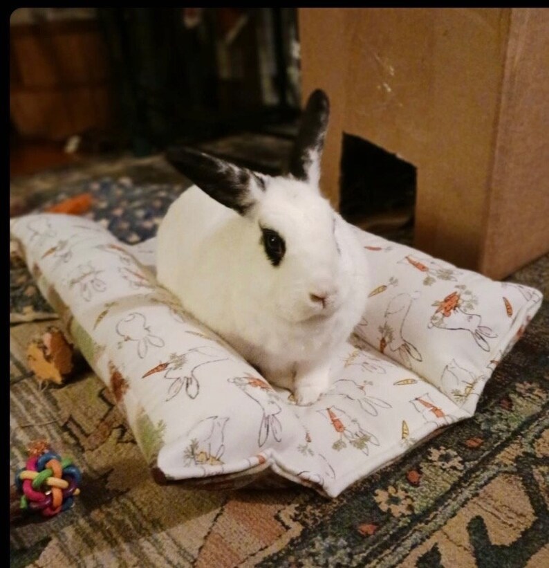 May include: A white and black rabbit with black eyes sits on a white and brown patterned pillow with a design of rabbits and carrots. The pillow is on a patterned rug.