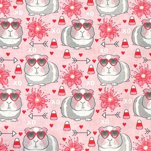 Valentines Day Guinea Pig Tunnel / Guinea Pig Hideout / Guinea Pig Bedding / Guinea Pig Pee pad / Guinea Pig House / Guinea Pig Love