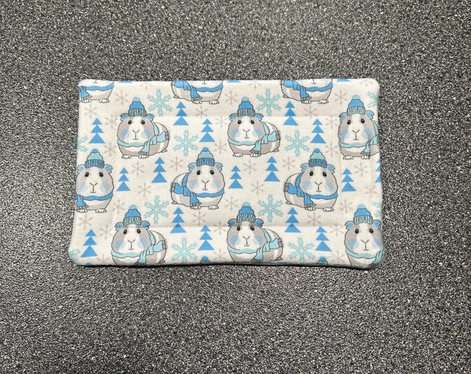 Illustration of Winter Fleece Liners For Guinea Pigs