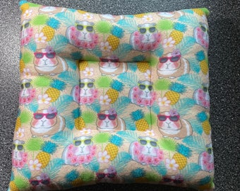 Guinea Pigs And Pineapples Small Animal Lap Pillows for Guinea Pigs and other small animals