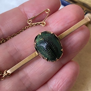 Unusual Antique victorian grand tour rich yellow 15ct & 9ct gold Egyptian revival real scarab beetle brooch /pin