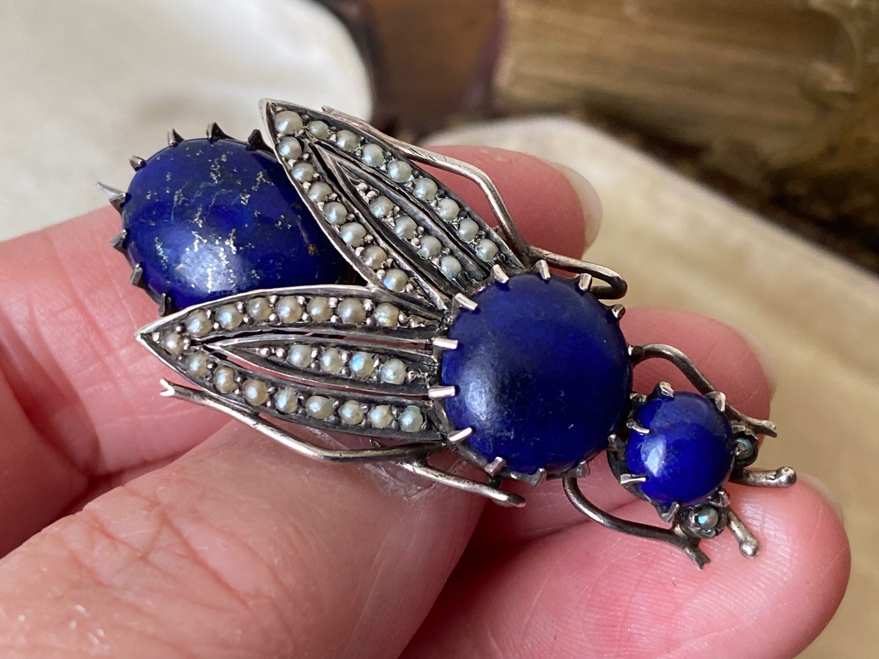 Antique insect sale jewellery