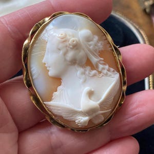 Può includere: Una spilla a cammeo ovale in conchiglia raffigurante il profilo scolpito di una persona con fiori tra i capelli e una colomba appoggiata sulla spalla. Il cammeo è incastonato in una cornice di metallo dorato intrecciato con finitura liscia.