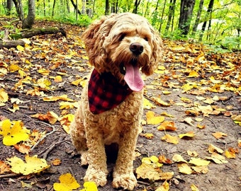 Reversible Buffalo Plaid Dog Bandana, Red and Black, 100% Cotton Flannel