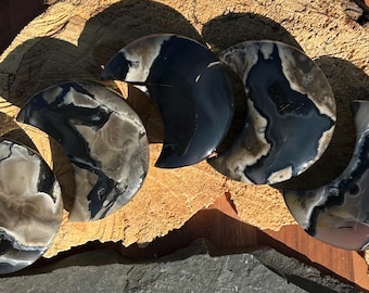 May include: Five polished, crescent-shaped stones with a mix of black, gray, and tan patterns. The stones are arranged on a piece of wood with a rough, textured surface, and are displayed in natural sunlight.