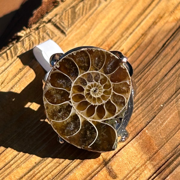 Ammonite fossil B crystal ring size adjustable sizes crystals stone fossilized energy fossils statement piece rings snail mollusk cephalopod