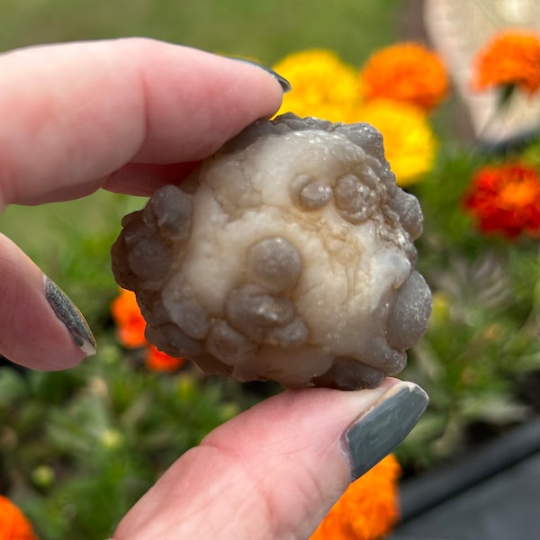 Truffle chalcedony panda agate stone natural specimen witches warts metaphysical womb stone self doubt worry tranquility UNIQUE