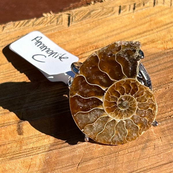 Ammonite fossil C crystal ring size adjustable sizes crystals stone fossilized fossils statement piece rings snail mollusk cephalopod energy