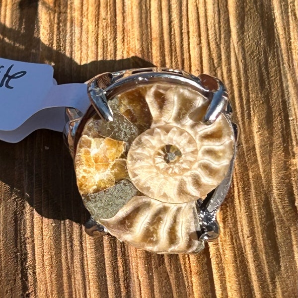 Ammonite fossil A crystal ring size adjustable sizes crystals stone fossilized fossils statement piece rings snail mollusk cephalopod energy