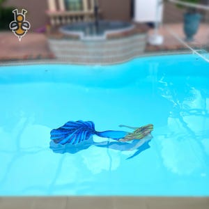 Custom Pool Mat: Removable Underwater Monogram, Logo Decoration - Etsy