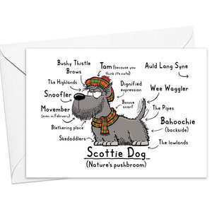 Funny Scottie Dog Greeting Card