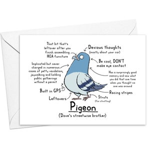 Funny Pigeon Greeting Card