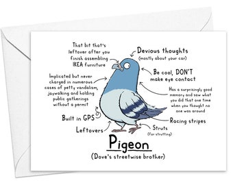 Carte de voeux drôle de pigeon