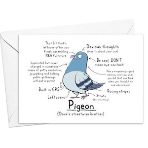 Carte de voeux drôle de pigeon