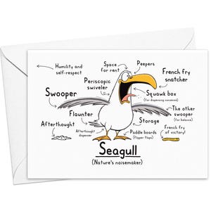 Carte de voeux drôle de mouette