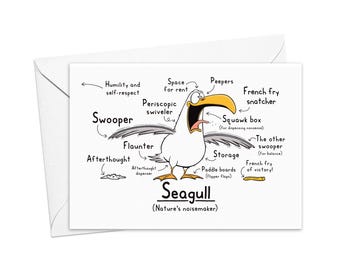 Funny Seagull Greeting Card