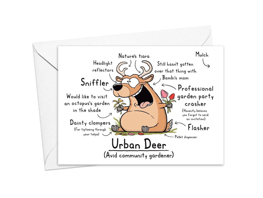 Funny Urban Deer Greeting Card - Etsy