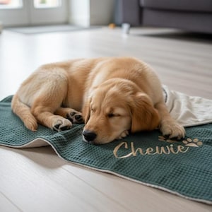 Hundedecke / Sofadecke XXL /Kuscheldecke mit Kuschelfleece / Personalisierbar mit Namen Waffelstoff - personalisiert