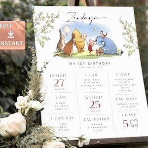 Classic Winnie The Pooh Milestone Board, Milestone Sign, Printable Birthday Milestone Template, Baby&#39;s First Birthday Sign Editable Templett