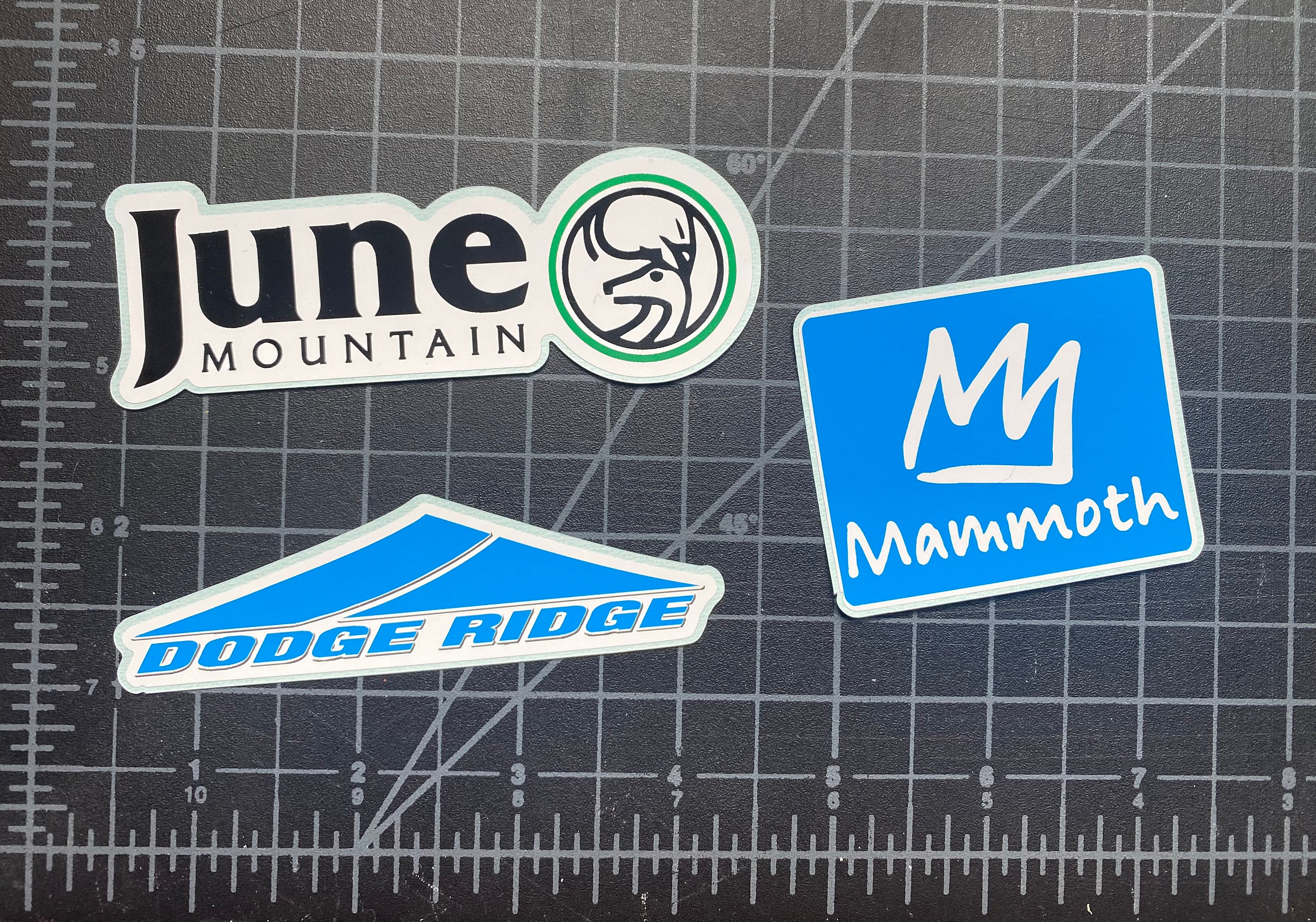Timber Ridge Ski Sticker Central CALIFORNIA Ski Resort Decals, Stickers for Water Bottle, Helmet ...