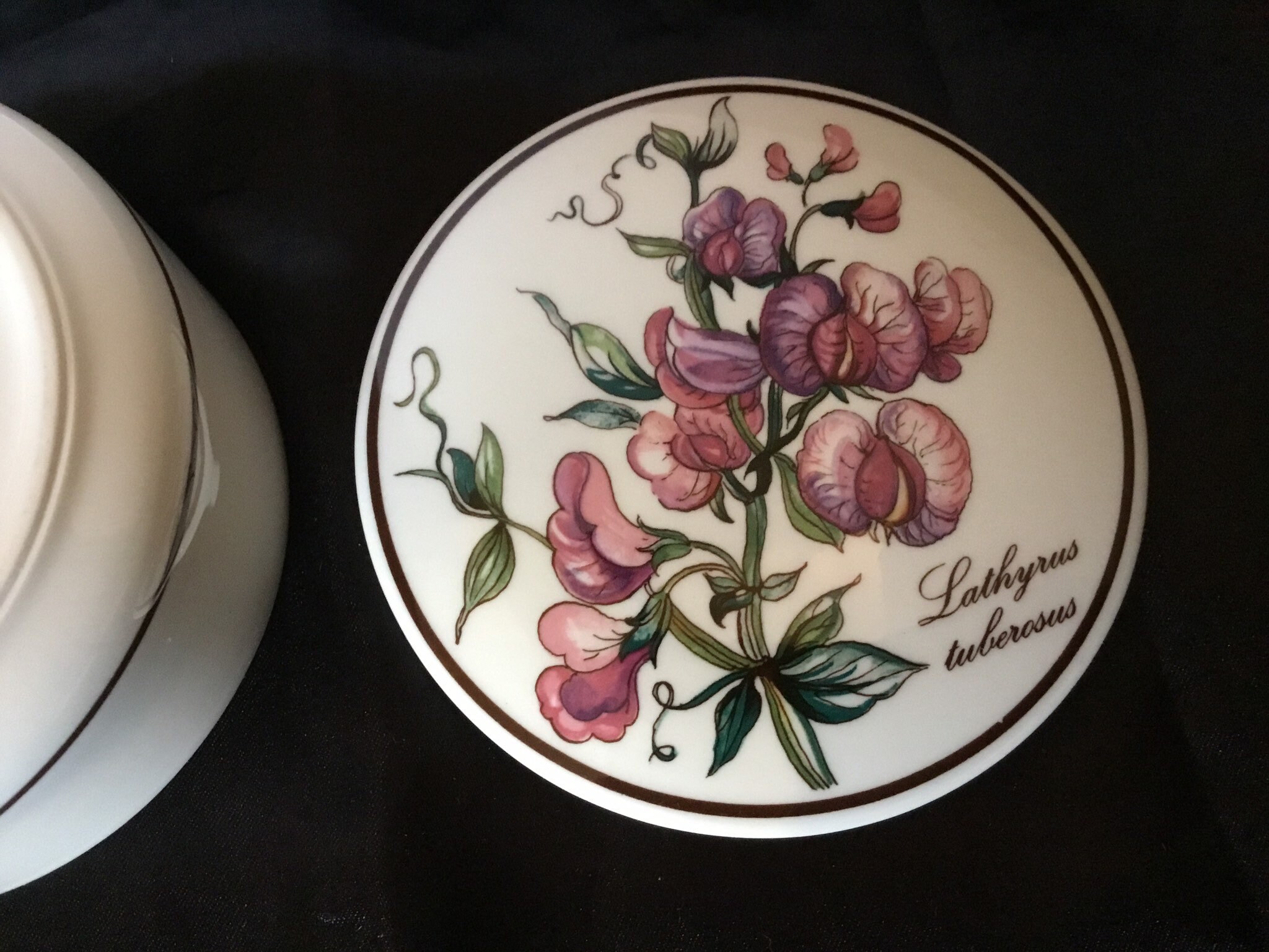 REDUCED Villeroy & Boch BOTANICAL Jewelry Trinket Box Etsy