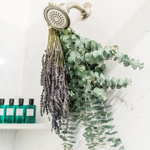 Eucalyptus and Lavender Shower Pouch Dried Mixed Leaf From Sea Etsy